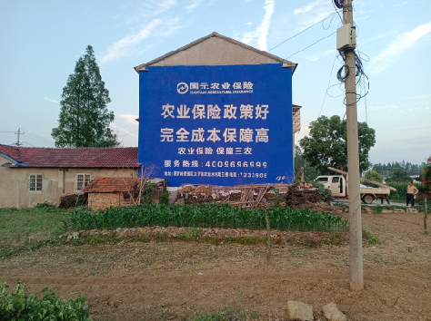 临泉墙体广告的优劣势你知道吗?