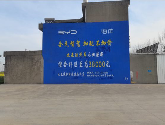 临泉墙固是否有必要刷？